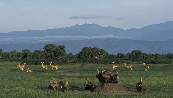 Uganda-20220103-2